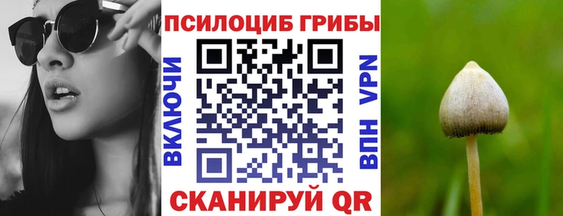Купить  Большой Камень  Галлюциногенные грибы Magic Shrooms 